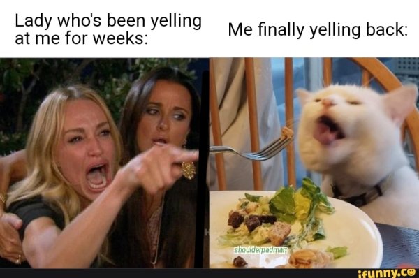 Девушки орут на кота