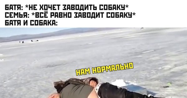 Отец не хочет заводить собаку Мем
