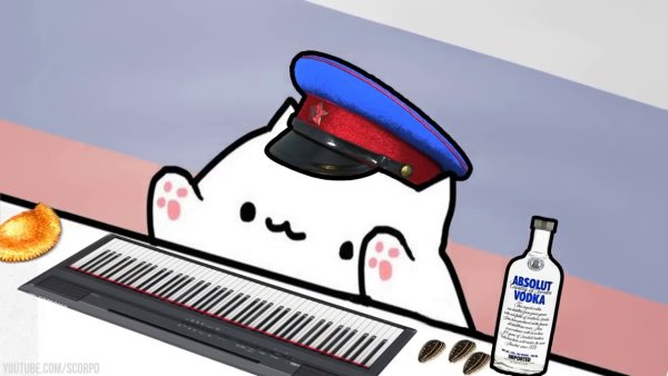 Bongo Cat Мем