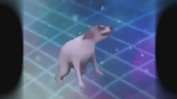 Танцующая собака Мем