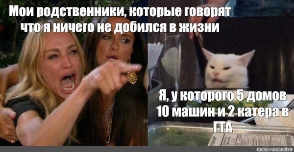 Мемы с котом за столом