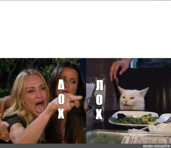 Мемы с котом за столом