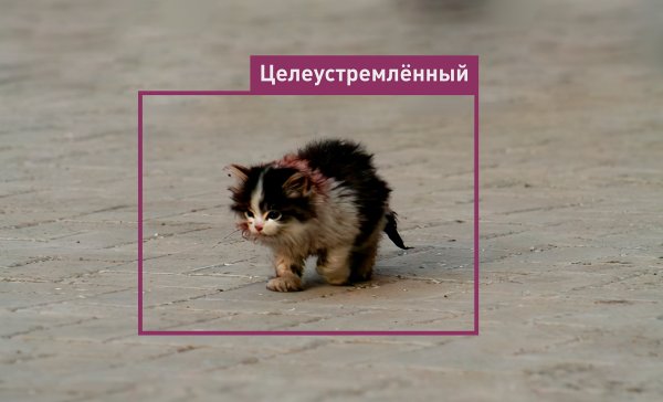 Яобязательно выдживу