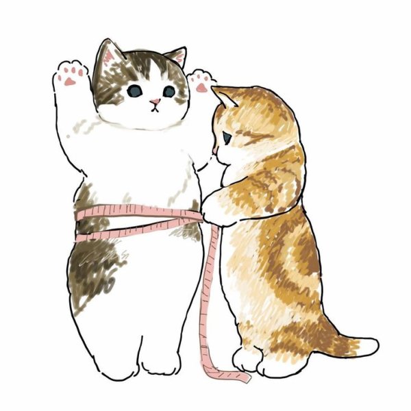 Вы жирненький котик