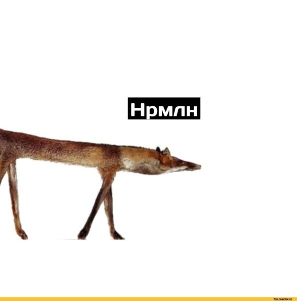 Аче всмысле Мем