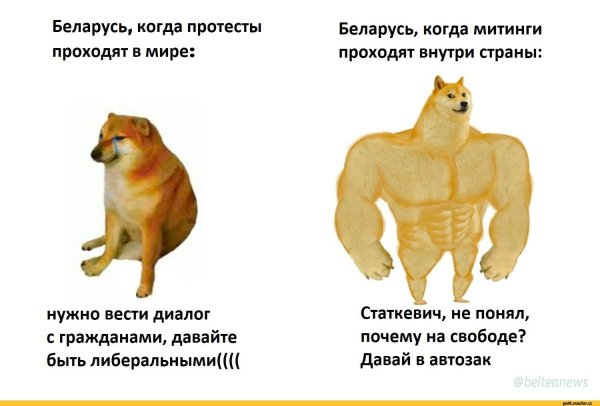 Мем с собаками сильная и слабая