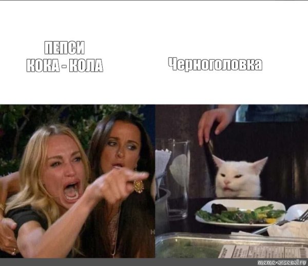 Женщина крутчит на кота