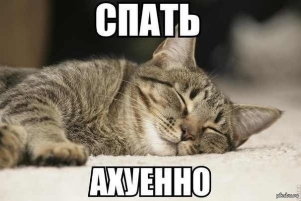 Я сплю Мем кот