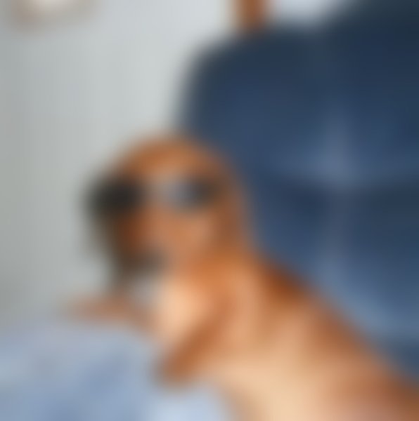 Тупая такса