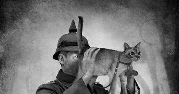 Прибор ночного видения через кота