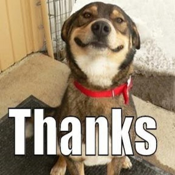 Спасибо Мем с собакой