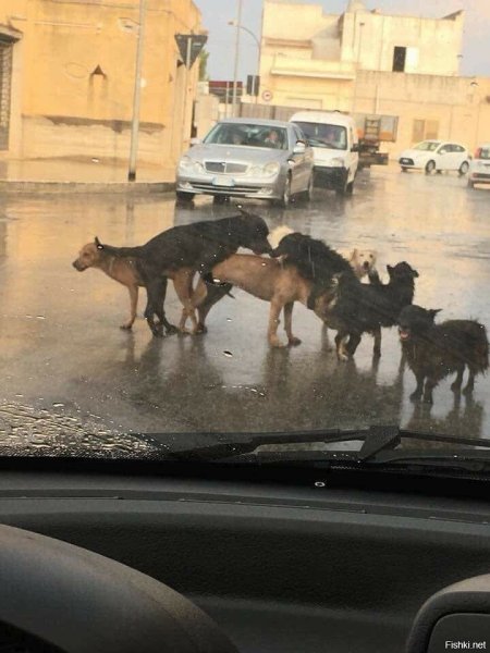 Семейное положение все сложно мемы