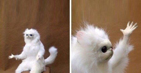 Недопонимание Мем