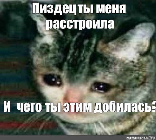 Зачем ты меня расстроил чего ты добился