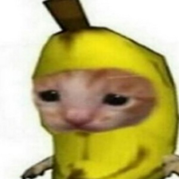 Кот банан Мем