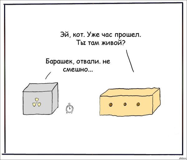 Кот Шредингера мемы