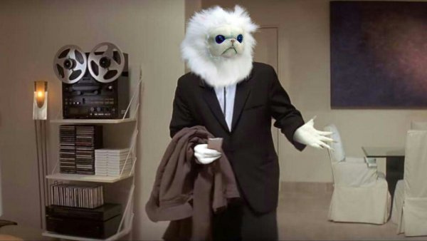 Мем чучело кота