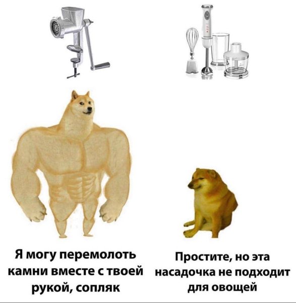 Собаки раньше и сейчас Мем