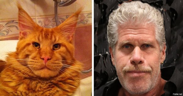 Рон Перлман рыжий