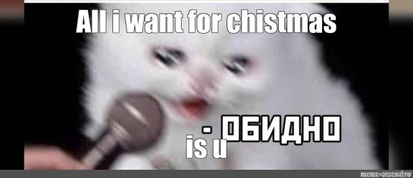 А че Мем кот