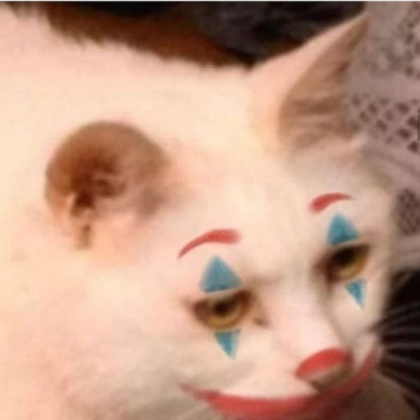 Кот клоун Мем