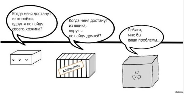 Шутки про Шредингера