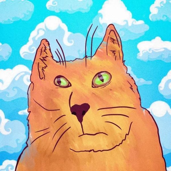 А че всмысле кот в хорошем качестве