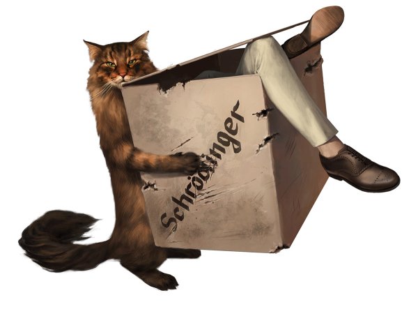 Парадокс кота Шредингера