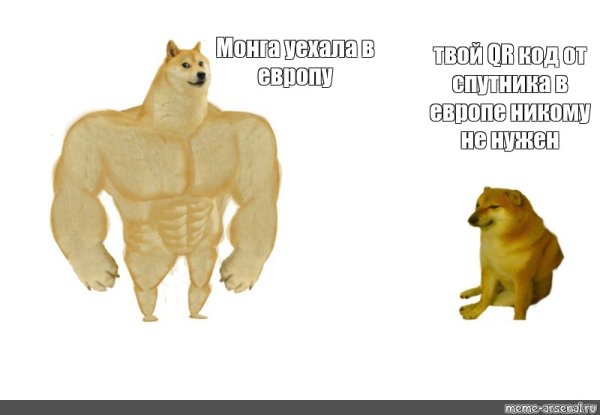 Мускулистая собака