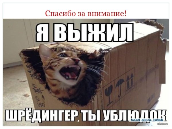 Кот Шредингера в коробке