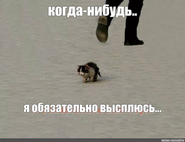 Мем я обязательно выживу с котом