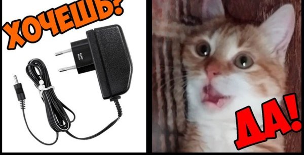 Кот сгрыз провода