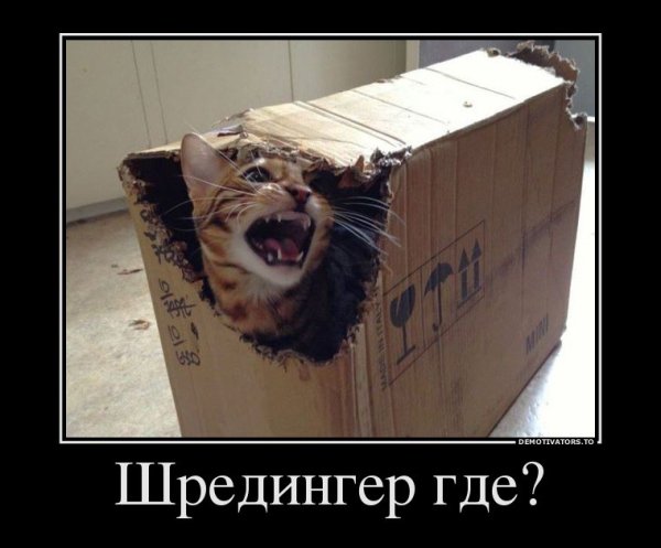 Кот Шредингера мемы