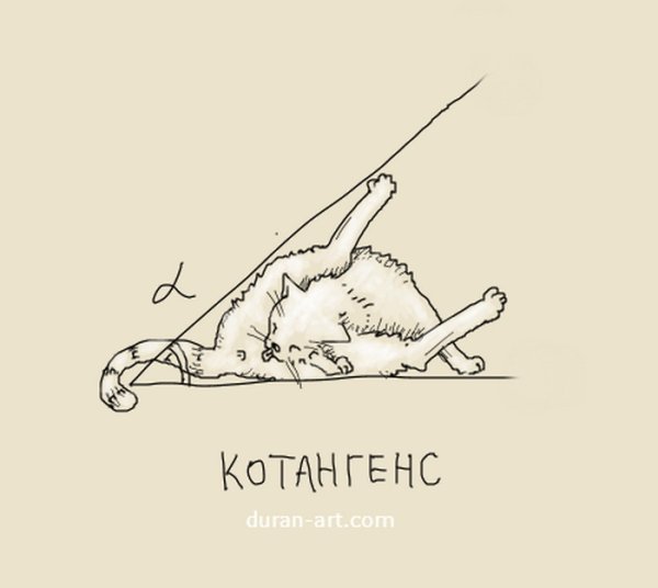 Котангенс Мем