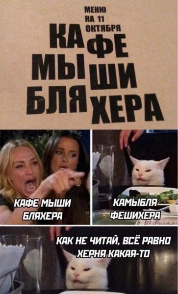 Женщина с котом