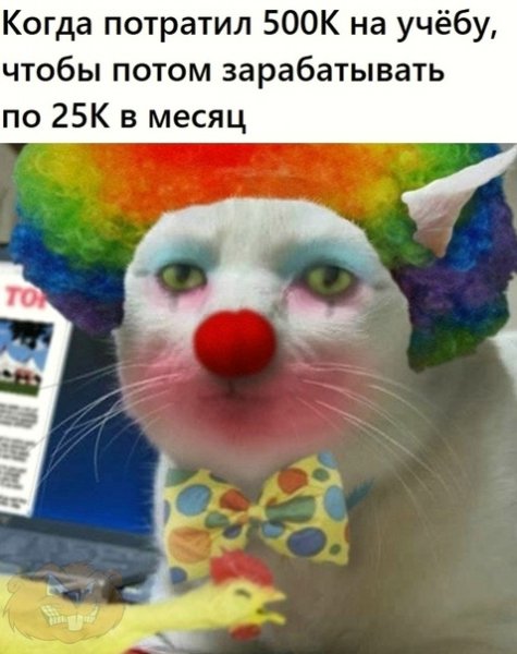 Грустный кот клоун