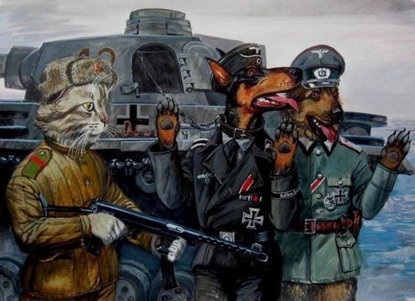 Храбрые коты. Художник Александр Завалий