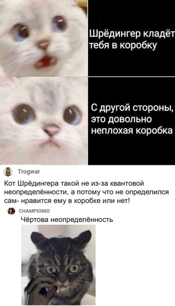 Кот шредингера