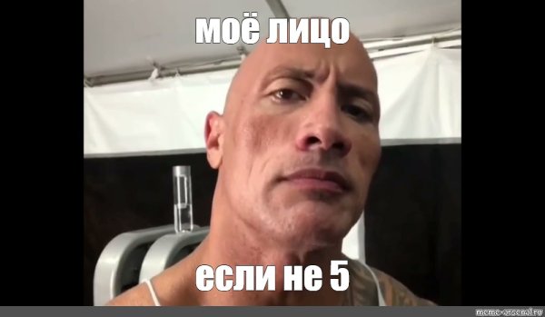 Кот скала джонсон