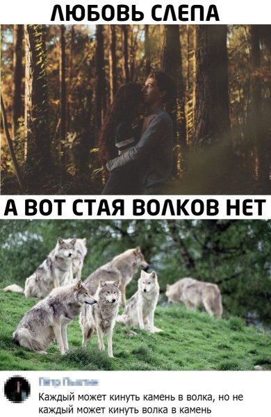 Волк Мем