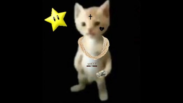 Кот на черном фоне Мем