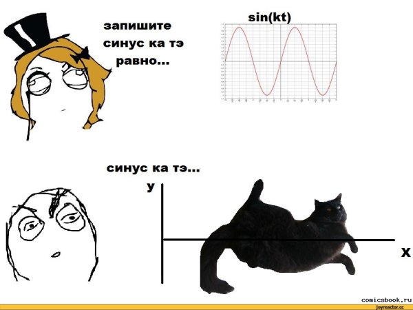 Анекдот про синусоиду