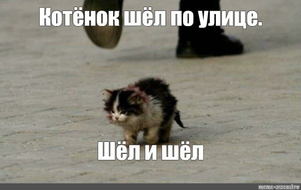 Я обязательно выживу котенок Мем