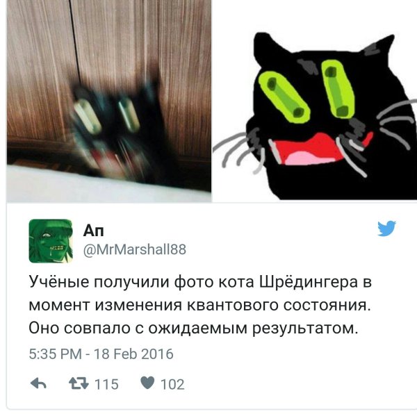 Кот Шредингера в момент изменения