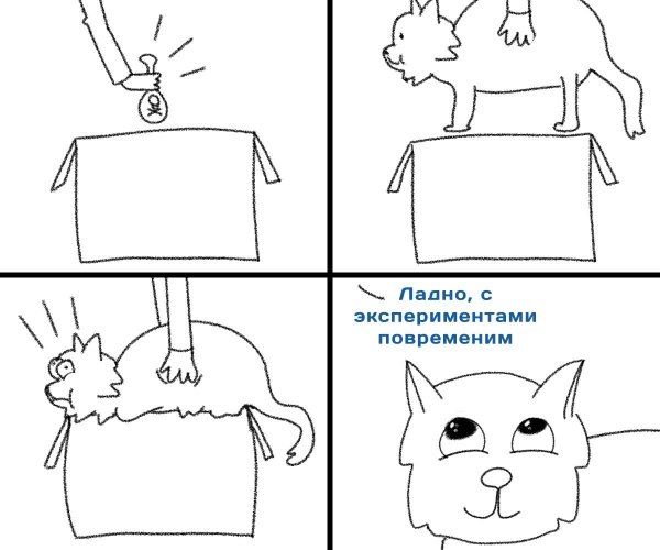 Шутки про Шредингера