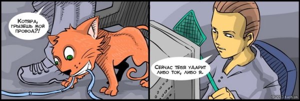 Кот грызёт провод Мем