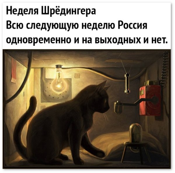 Кот Шредингера эксперимент