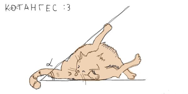 Смешные картинки про математику