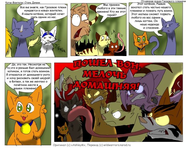 Коты Воители комиксы Стань диким на русском