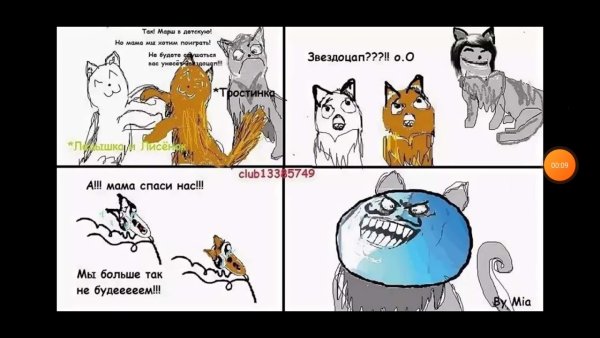 Коты Воители мемы